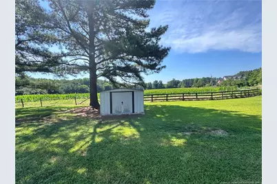 5095 Buckhorn Road, Sanford, NC 27330 - Photo 25