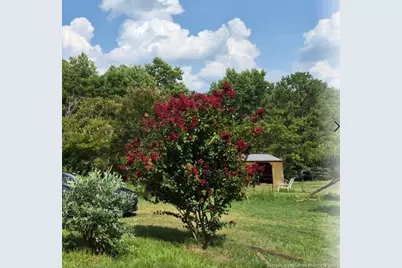 1011 Sweet Raspberry Lane, Lillington, NC 27546 - Photo 3