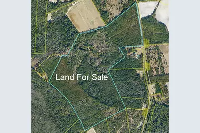 Live Oak Methodist Church Road, White Oak, NC 28399 - Photo 1