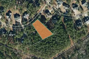 3335 Carolina Way, Sanford, NC 27332 - Photo 39