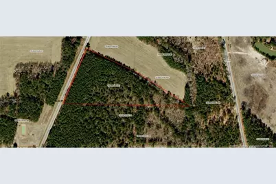 Philadelphus Road, Pembroke, NC 28372 - Photo 1