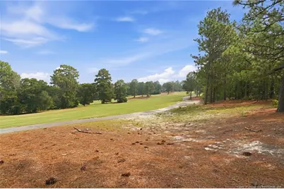 44 Richmond Road, Jackson Springs, NC 27281 - Photo 19