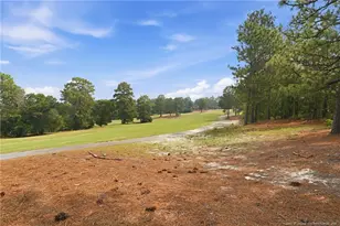 44 Richmond Rd, Jackson Springs, NC 27281 - Photo 19