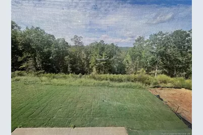 23 Chestnut Oak Lane, Lillington, NC 27546 - Photo 13