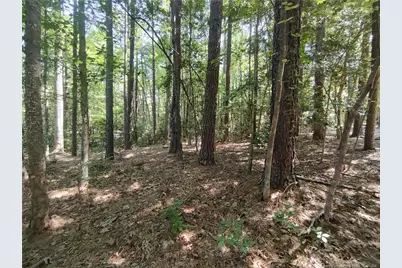1454 W Carolina Drive, Sanford, NC 27332 - Photo 11