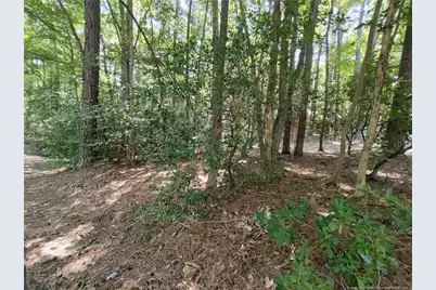 1454 W Carolina Drive, Sanford, NC 27332 - Photo 3