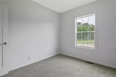 136 Farrar Dairy Road, Lillington, NC 27546 - Photo 47