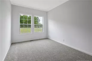 136 Farrar Dairy Rd, Lillington, NC 27546 - Photo 43