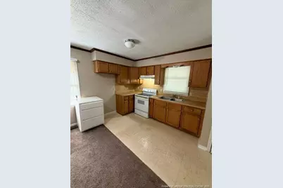 6648 Wire Grass Road, Orrum, NC 28369 - Photo 3