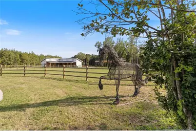 820 Saint Pauls Drive, Raeford, NC 28376 - Photo 31