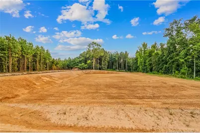 820 Saint Pauls Drive, Raeford, NC 28376 - Photo 41