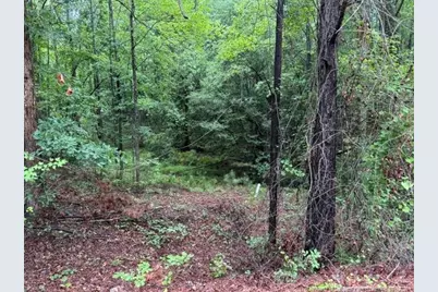 0 Carolina Way, Sanford, NC 27332 - Photo 3