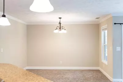 38 Cross Roads Court, Broadway, NC 27505 - Photo 17