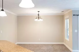 38 Cross Roads Ct, Broadway, NC 27505 - Photo 17