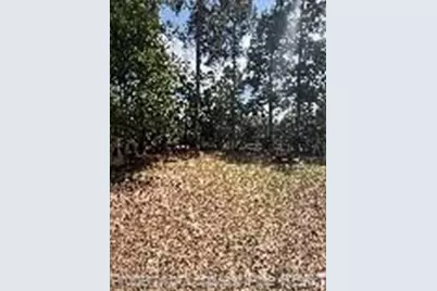 44 Cutter Circle, Sanford, NC 27332 - Photo 35