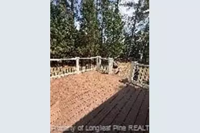 44 Cutter Circle, Sanford, NC 27332 - Photo 39