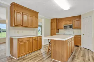 1100 Brisson Rd, Saint Pauls, NC 28384 - Photo 11