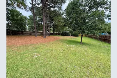 82 Sonora Drive, Lillington, NC 27546 - Photo 33