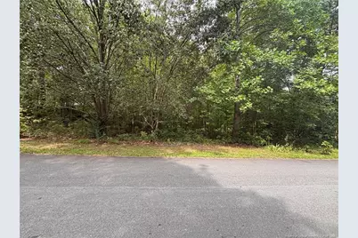 265 Fairway Lane, Sanford, NC 27332 - Photo 5