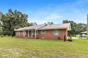 423 Posey Farm Rd, Raeford, NC 28376 - Photo 3