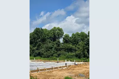 297 Margot Manor Drive, Benson, NC 27504 - Photo 3