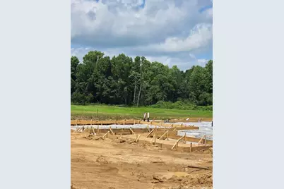 297 Margot Manor Drive, Benson, NC 27504 - Photo 5