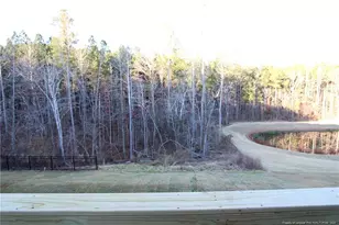 510 Light Oak Wy, Apex, NC 27539 - Photo 47