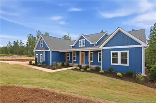 164 Vista Ridge Ave, Sanford, NC 27332 - Photo 3