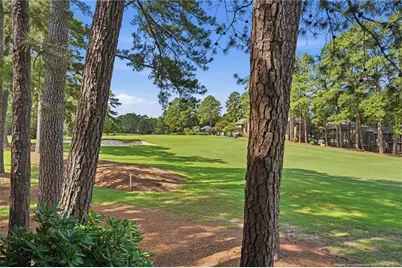 5 Pine Tree Road #117, Pinehurst, NC 28374 - Photo 45