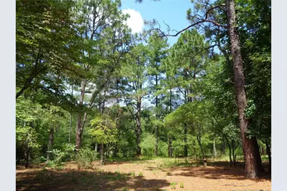 303 Archie Road, West End, NC 27376 - Photo 41