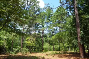 303 Archie Rd, West End, NC 27376 - Photo 41
