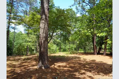 303 Archie Road, West End, NC 27376 - Photo 43