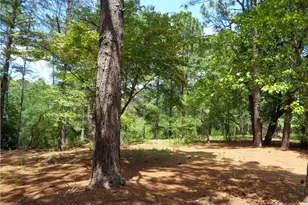303 Archie Rd, West End, NC 27376 - Photo 43