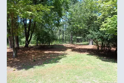 303 Archie Road, West End, NC 27376 - Photo 39