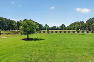 61 Griffin Rd, Lillington, NC 27546 - Photo 47