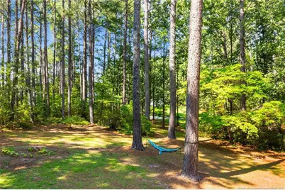 16401 Lakeshore Drive, Wagram, NC 28396 - Photo 45