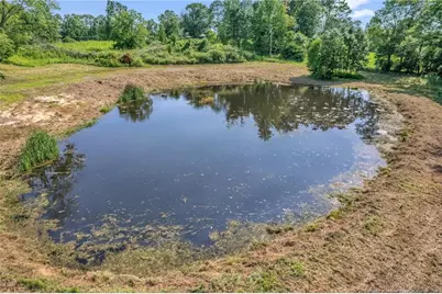 00 Laia Hills (Lot 1) Road, Siler City, NC 27344 - Photo 25