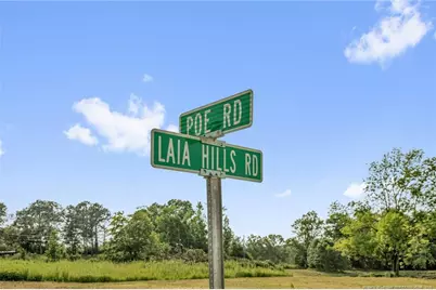 00 Laia Hills (Lot 1) Road, Siler City, NC 27344 - Photo 19