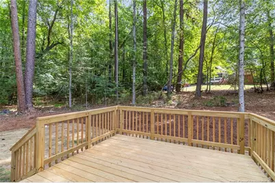 1766 Quince Loop, Sanford, NC 27332 - Photo 35