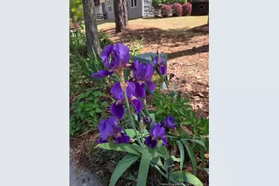 18 Mill Run, Sanford, NC 27332 - Photo 39