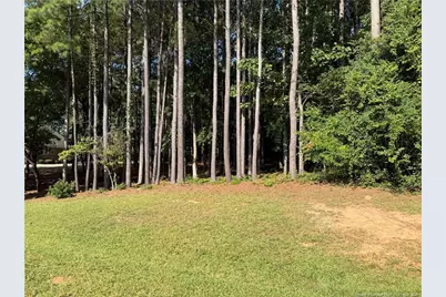 Tbd Saintsbury Place, Sanford, NC 27332 - Photo 3