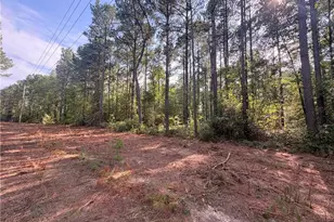 S Plank Rd, Sanford, NC 27330 - Photo 1