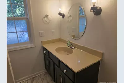 349 Moss Pink Drive, Vass, NC 28394 - Photo 19
