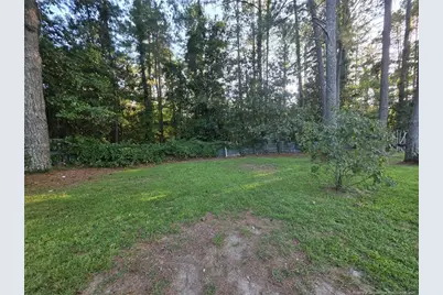 349 Moss Pink Drive, Vass, NC 28394 - Photo 23