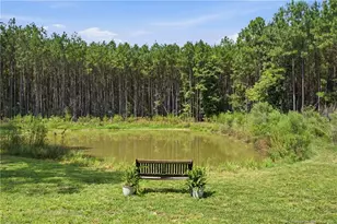350 Asbury Church Rd, Sanford, NC 27330 - Photo 29