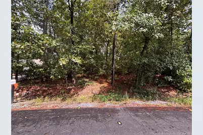 668 Chelsea Drive, Sanford, NC 27332 - Photo 3