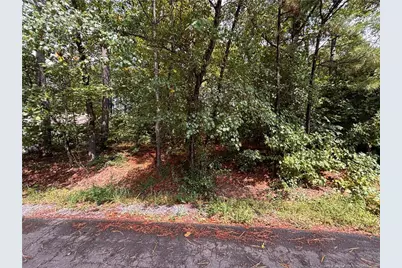 668 Chelsea Drive, Sanford, NC 27332 - Photo 5