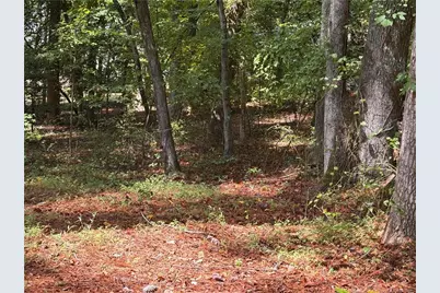 1532 Delaware Place, Sanford, NC 27332 - Photo 3