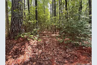 1452 Carolina Drive, Sanford, NC 27332 - Photo 3