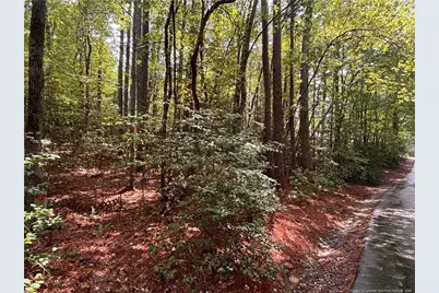 1452 Carolina Drive, Sanford, NC 27332 - Photo 1